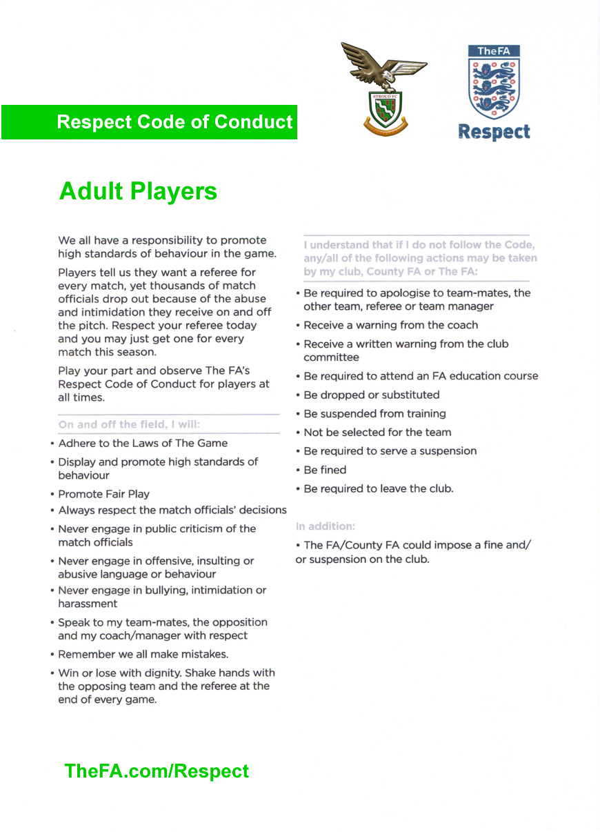 adult player's code of conduct